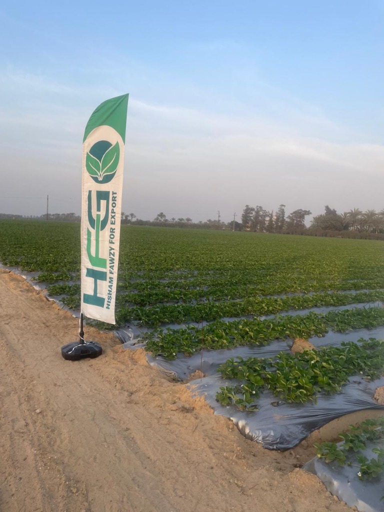 HFG export farm flag
