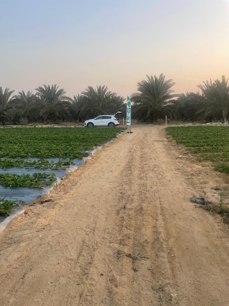 Farm overview and operations